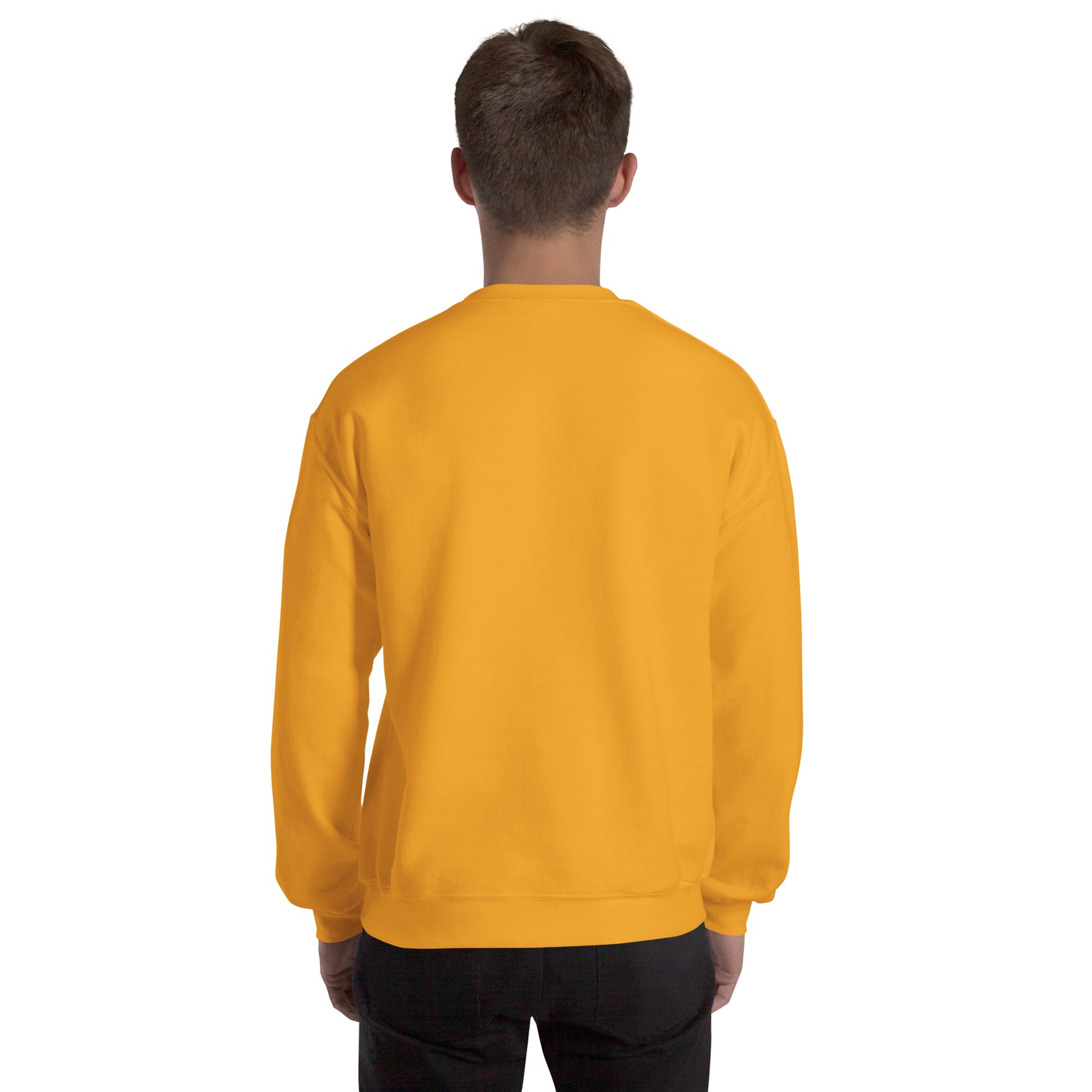 Strength Beyond The Call Sweatshirt – First Responder PTSD Awareness | Revival Unleashed-Revival Unleashed