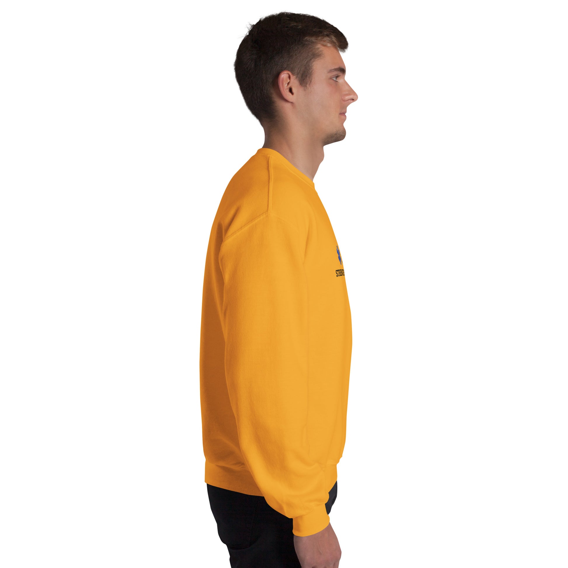 Strength Beyond The Call Sweatshirt – First Responder PTSD Awareness | Revival Unleashed-Revival Unleashed